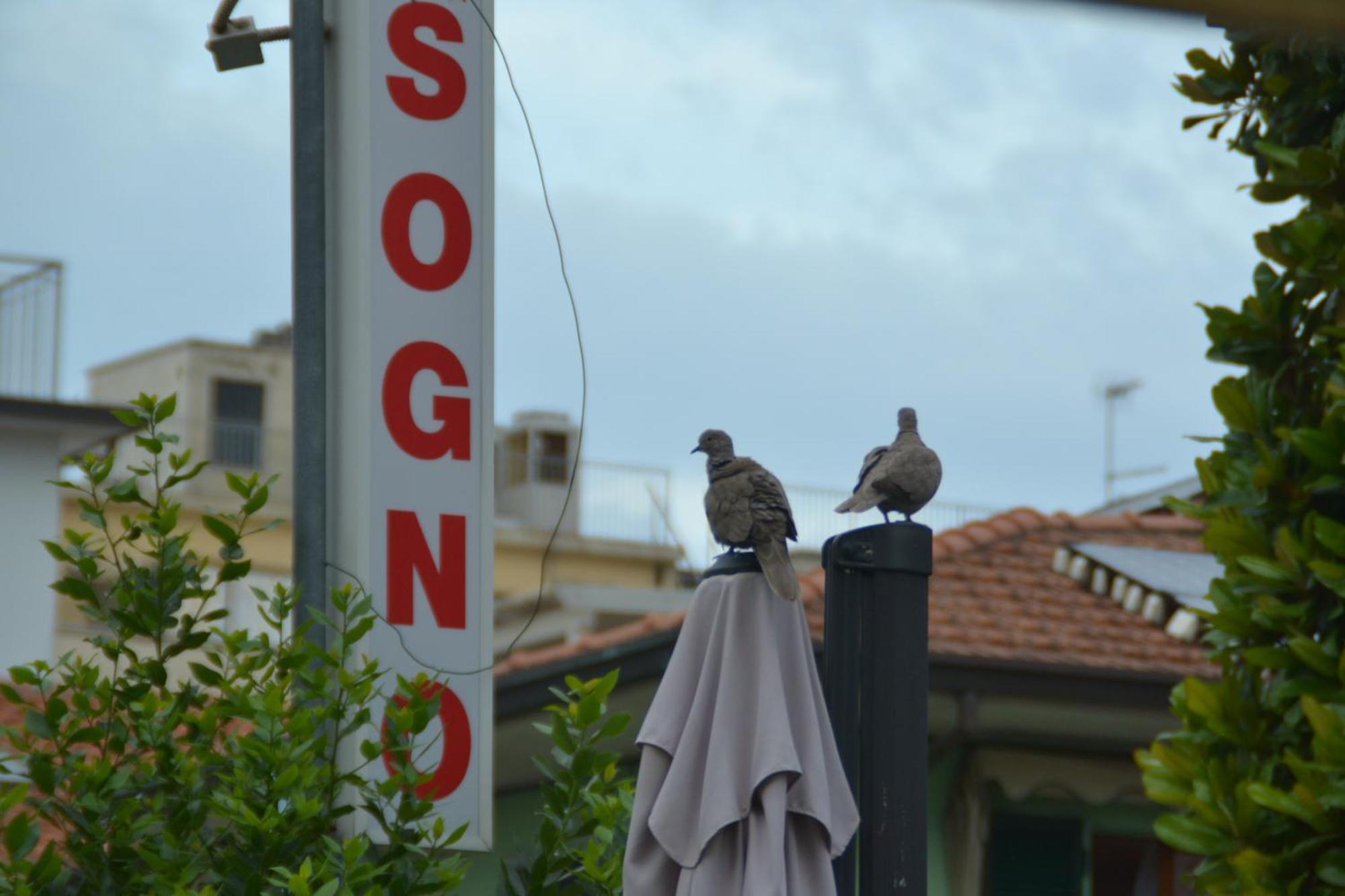 Hotel Bel Sogno Rimini Bagian luar foto
